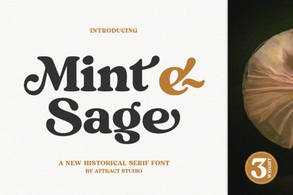 How Mint and Sage Font Transformed My Small Business Branding