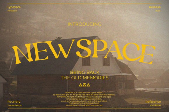 Newspace: A Bold Serif Font for Vintage-Inspired Web Design