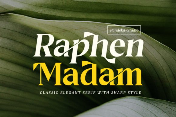 Raphen Madam: A Chic Serif Font for Modern Web Branding
