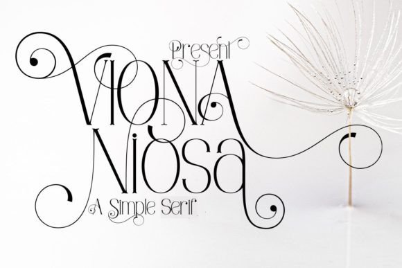 Viona Niosa: A Chic Thin Serif Font for Elegant Web Design
